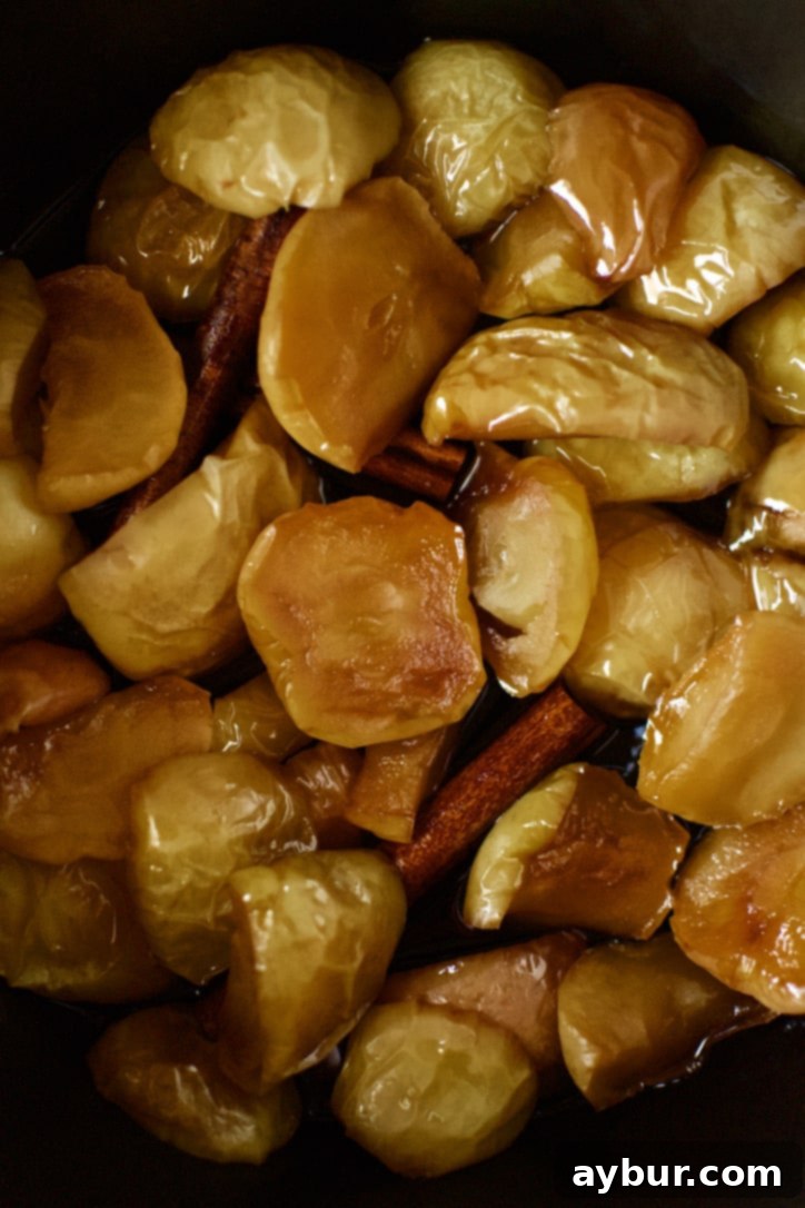 Apples after the initial cooking time, very soft and tender, ready for pureeing.