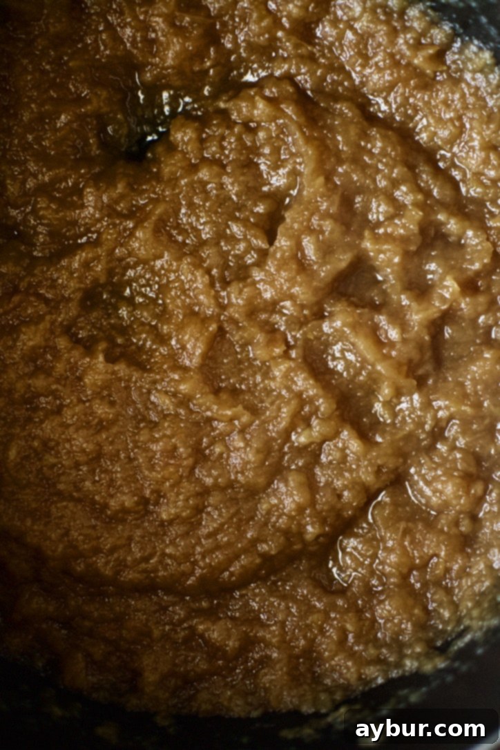 Softened apples pureed into applesauce consistency at this stage of the apple butter making process.