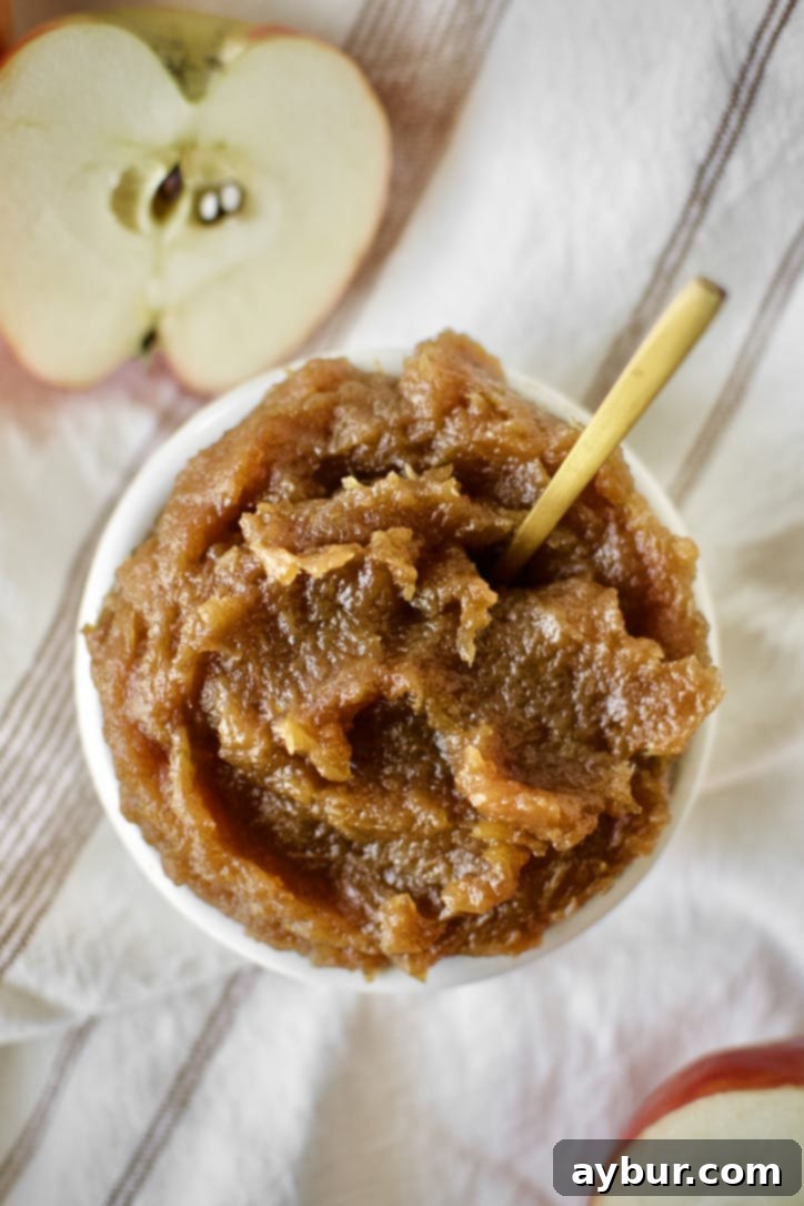 Finished Apple Butter in a dish with a gold spoon in it, showcasing its rich, dark color and smooth texture.