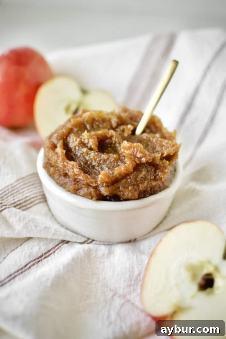 Finished Apple Butter in a dish with a gold spoon in it.