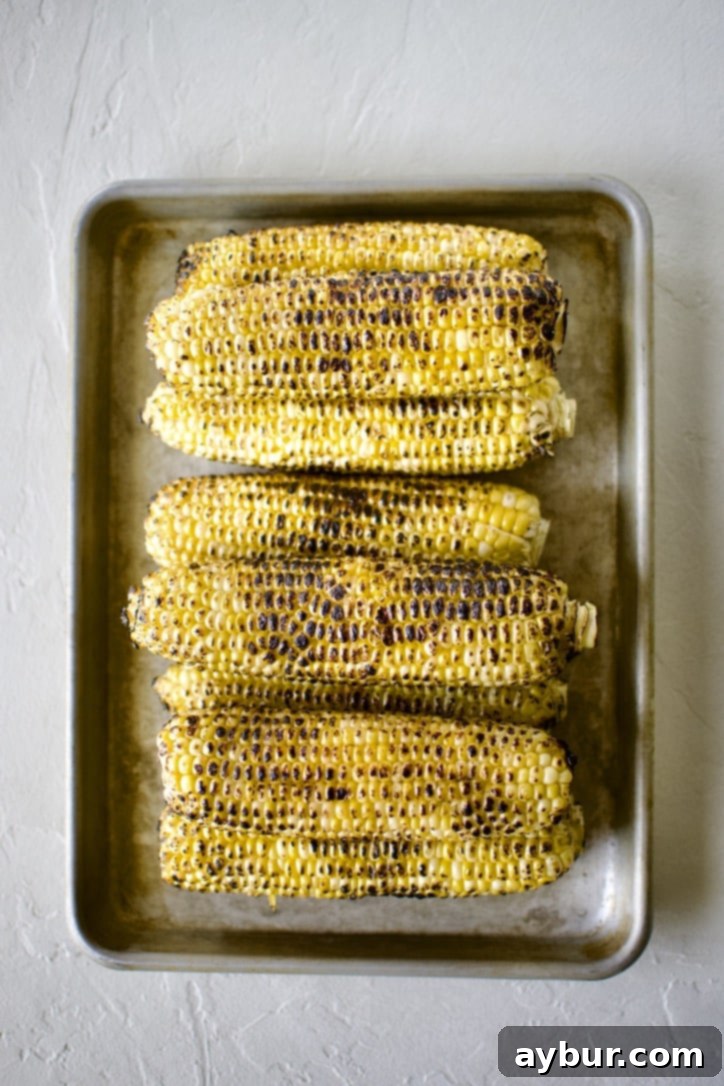 Smoky Sweet Corn and Pepper Salsa 7 Sweet corn on the cob, visibly charred and roasted, arranged on a sheet pan, ready to be cooled and prepared for salsa.