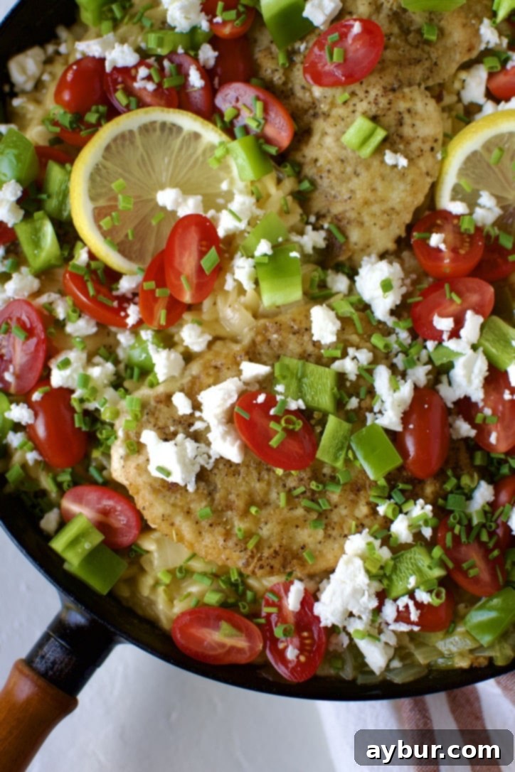 Mediterranean Lemon Orzo Chicken 2 Lemon Orzo Chicken with Feta and Tomatoes finished and ready to serve in the pan.