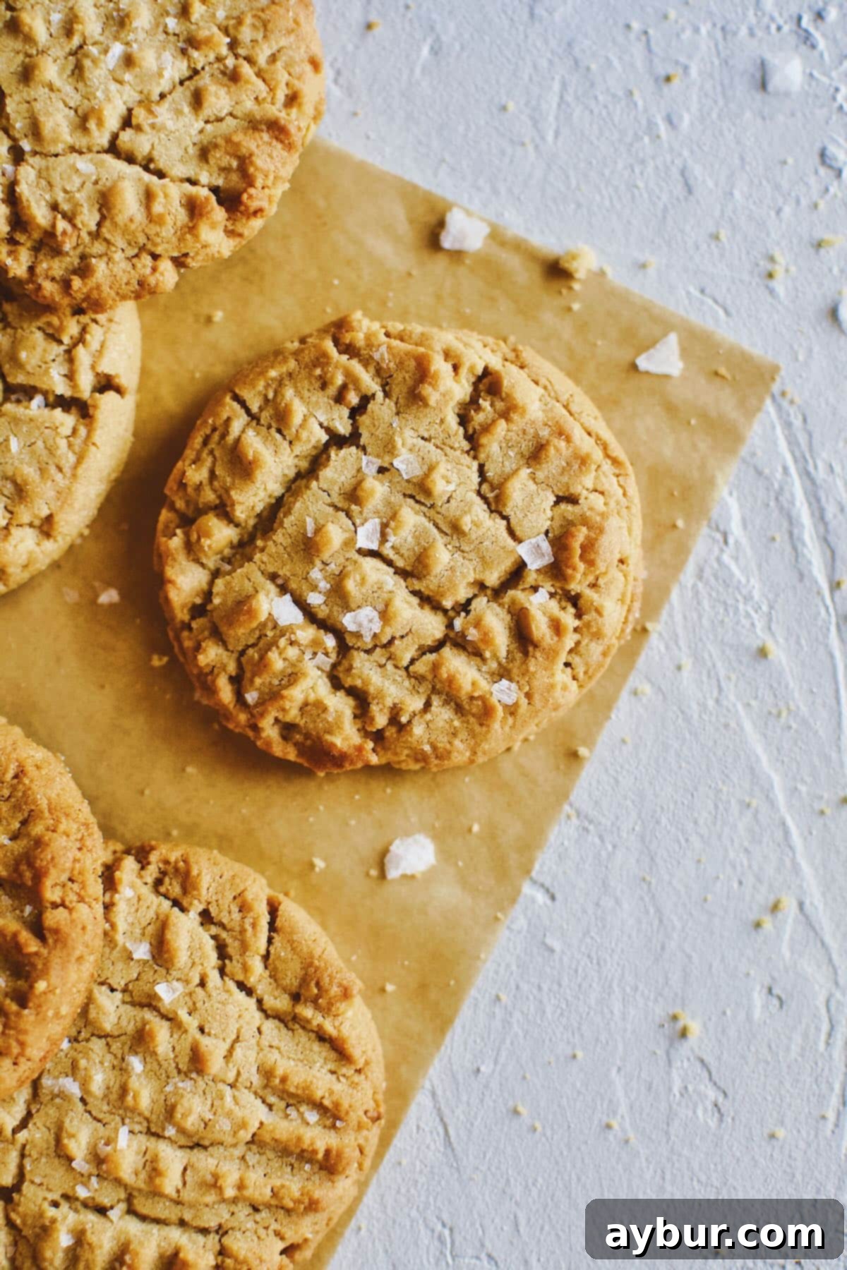 Peanut Butter Crunch Cookies 11 A beautifully composed shot showcasing the homemade crunchy peanut butter cookies. These cookies are unique, featuring real peanut pieces for an enhanced texture that many recipes miss.