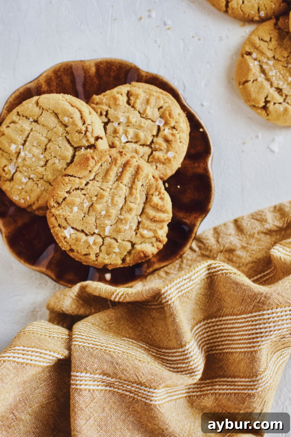 Peanut Butter Crunch Cookies 5 A trio of freshly baked crunchy peanut butter cookies, perfectly cross-hatched and nestled together on a pristine white plate.