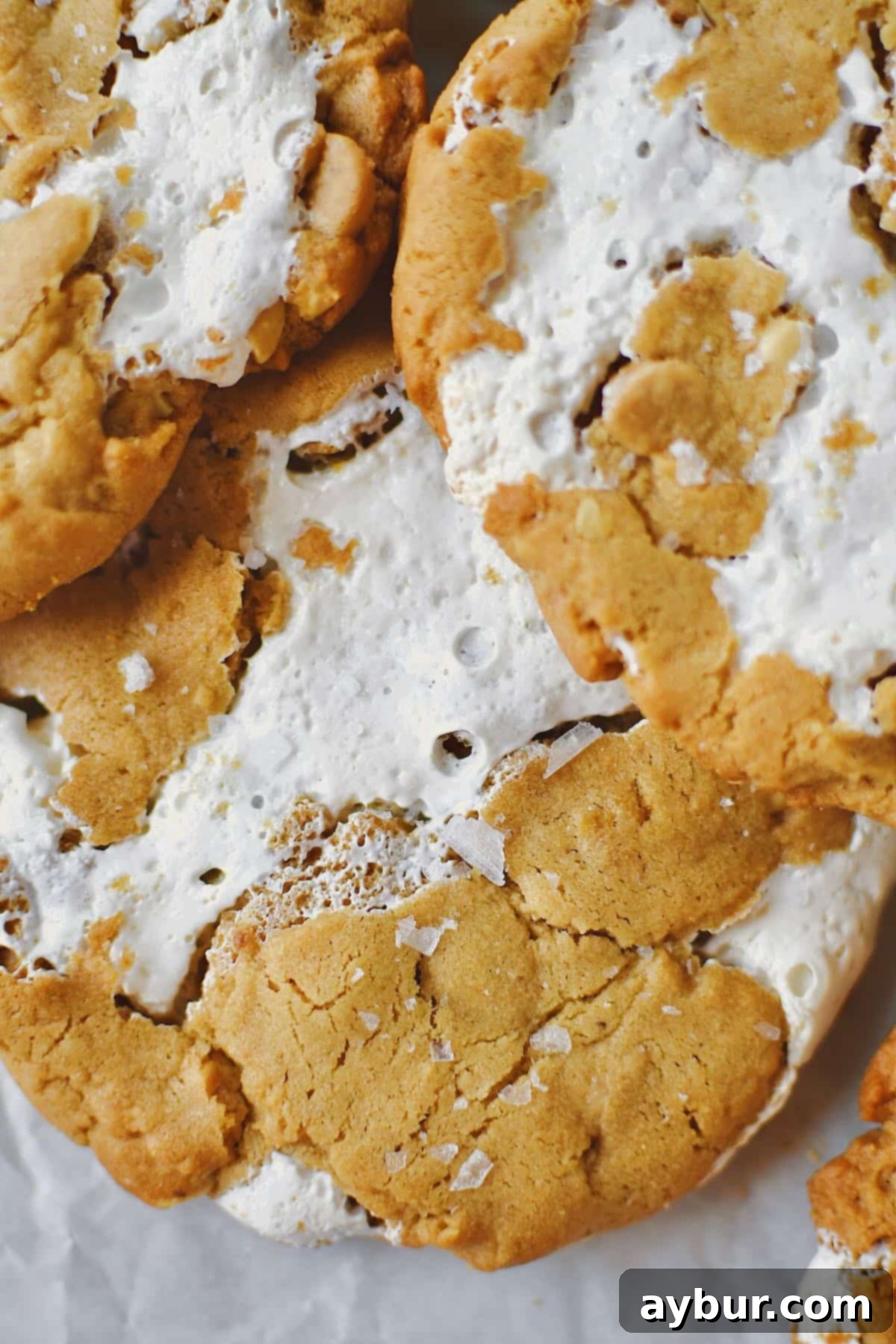 Freshly baked Fluffernutter Cookies adorned with delicate flakey sea salt, glistening and ready to be devoured.