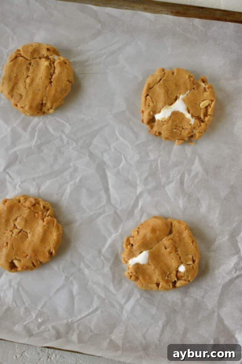 Filled Fluffernutter cookie dough balls, slightly flattened on a sheet pan, perfectly set for baking.