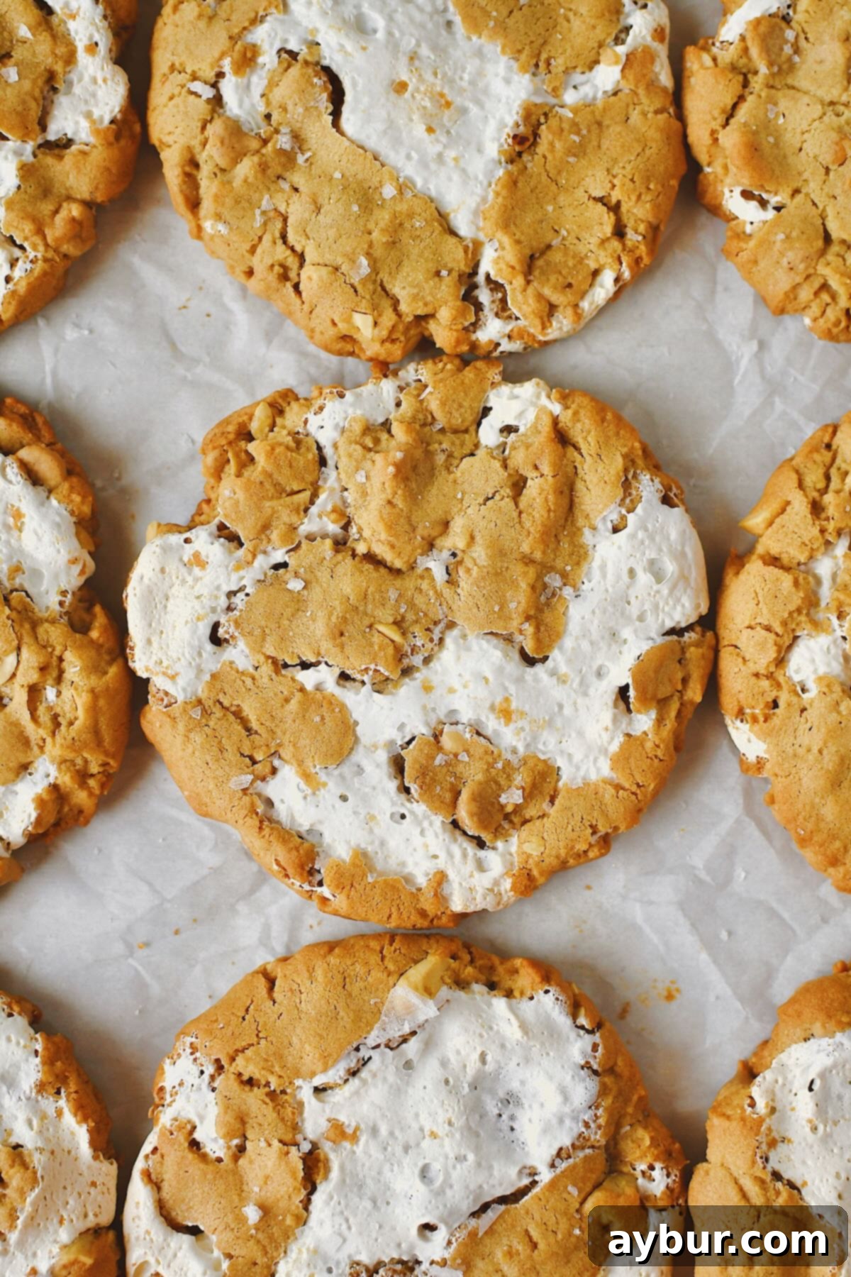 Fluffernutter Cookies, golden and warm, fresh from the oven, adorned with flakey salt and calling to be enjoyed.