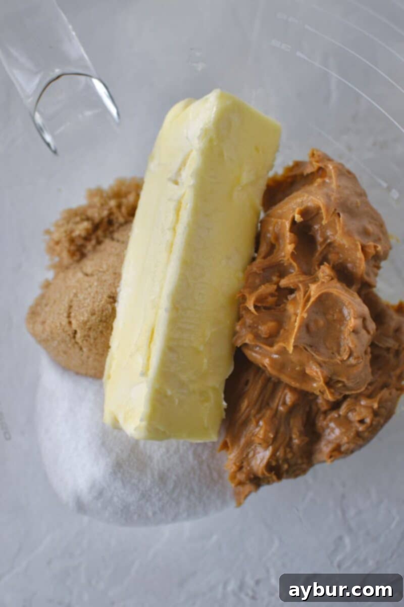 Softened butter, crunchy peanut butter, and both brown and granulated sugars ready to be creamed in a stand mixer bowl.