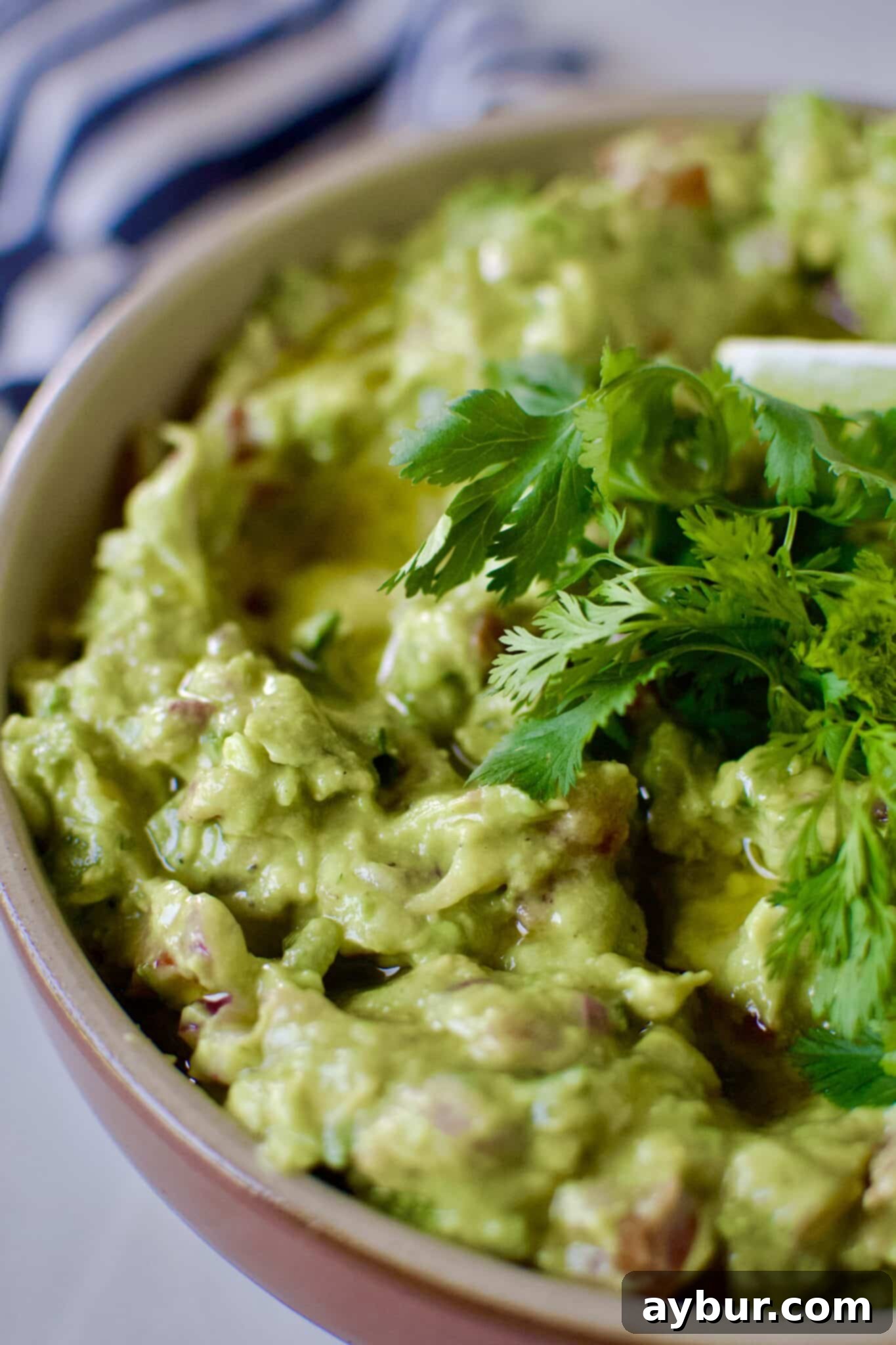Delicious Mexican Guacamole Recipe in a bowl, elegantly topped with fresh baby cilantro sprigs and a drizzle of olive oil.