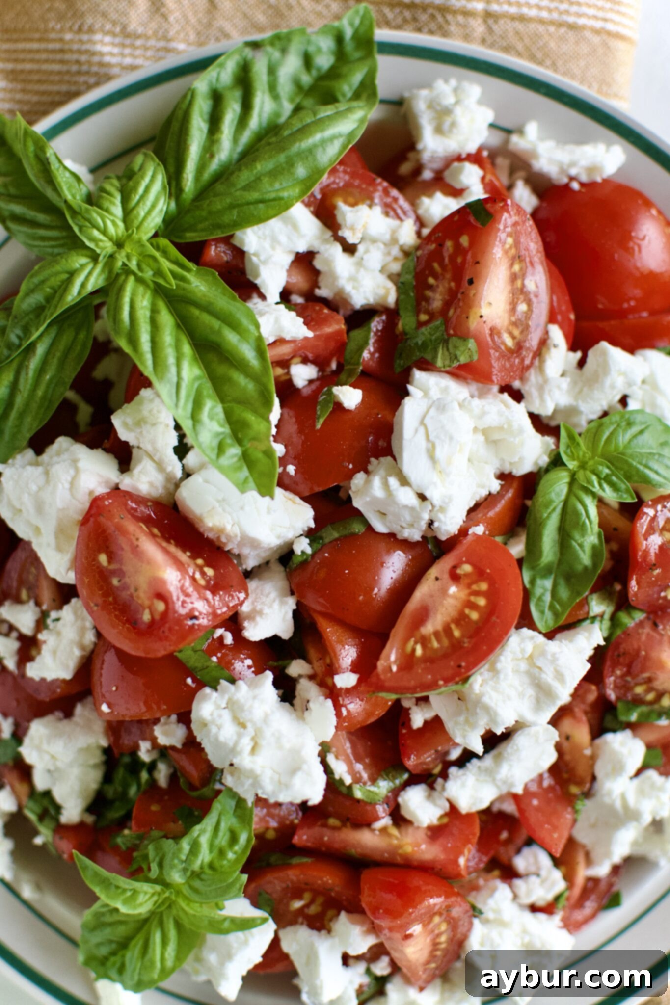 Fresh Tomato Feta Medley 2 Vibrant Tomato Feta Salad on a serving platter, garnished with large, fresh basil leaves.