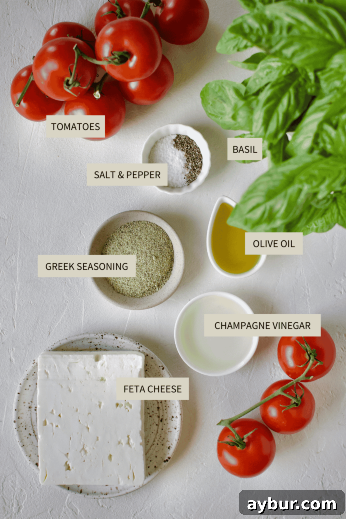 Fresh Tomato Feta Medley 3 Fresh ingredients laid out for making Tomato Feta Salad, including ripe tomatoes, feta cheese, basil, olive oil, and seasonings.