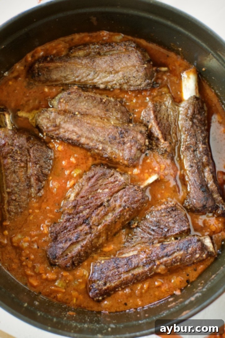 Seared short ribs nestled back into the pot, partially submerged in the rich bolognese sauce.