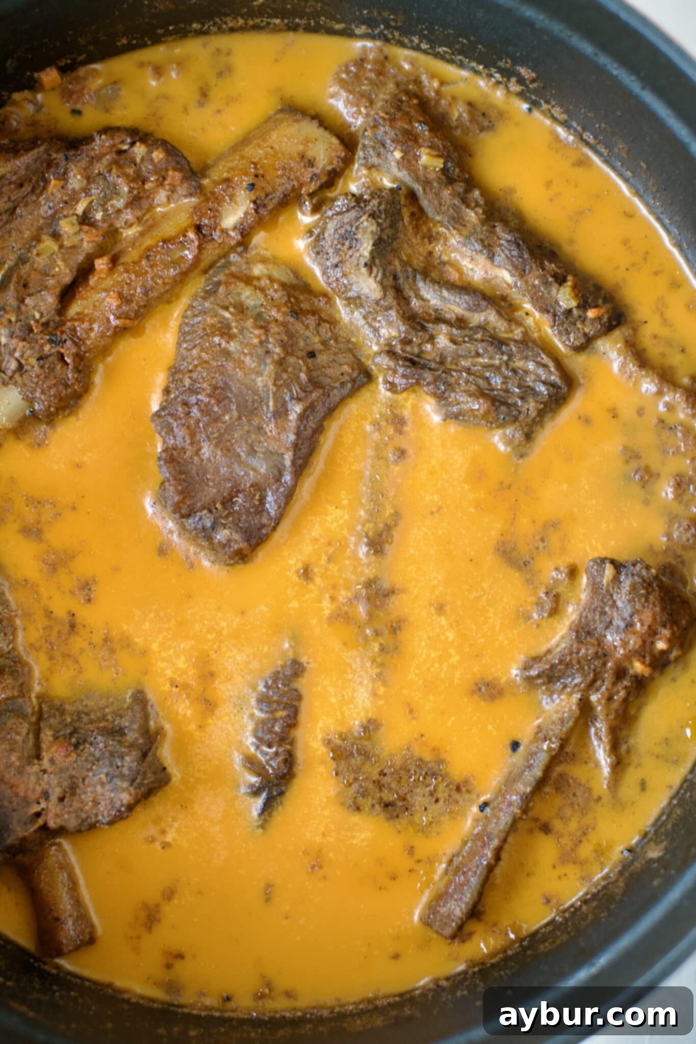 After cooking and cooling, short ribs in the pot with a solidified layer of fat on top.