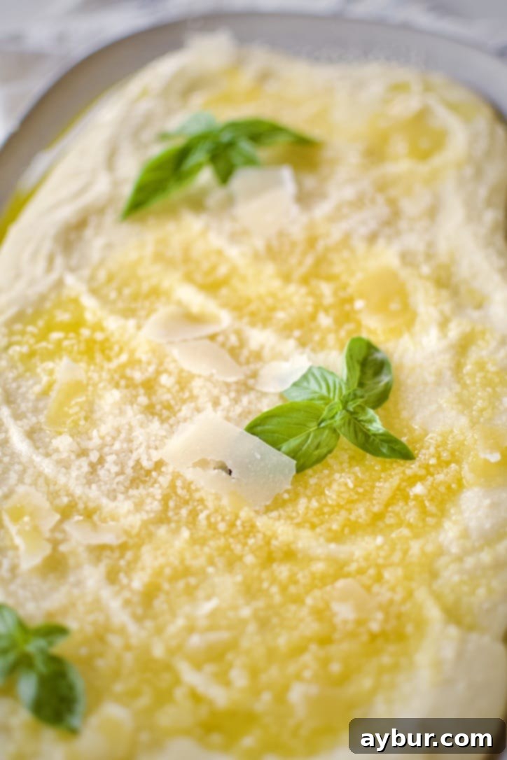 Velvety Creamy Polenta 2 Close-up of freshly made creamy polenta in a white bowl, drizzled with olive oil and garnished with fresh herbs.