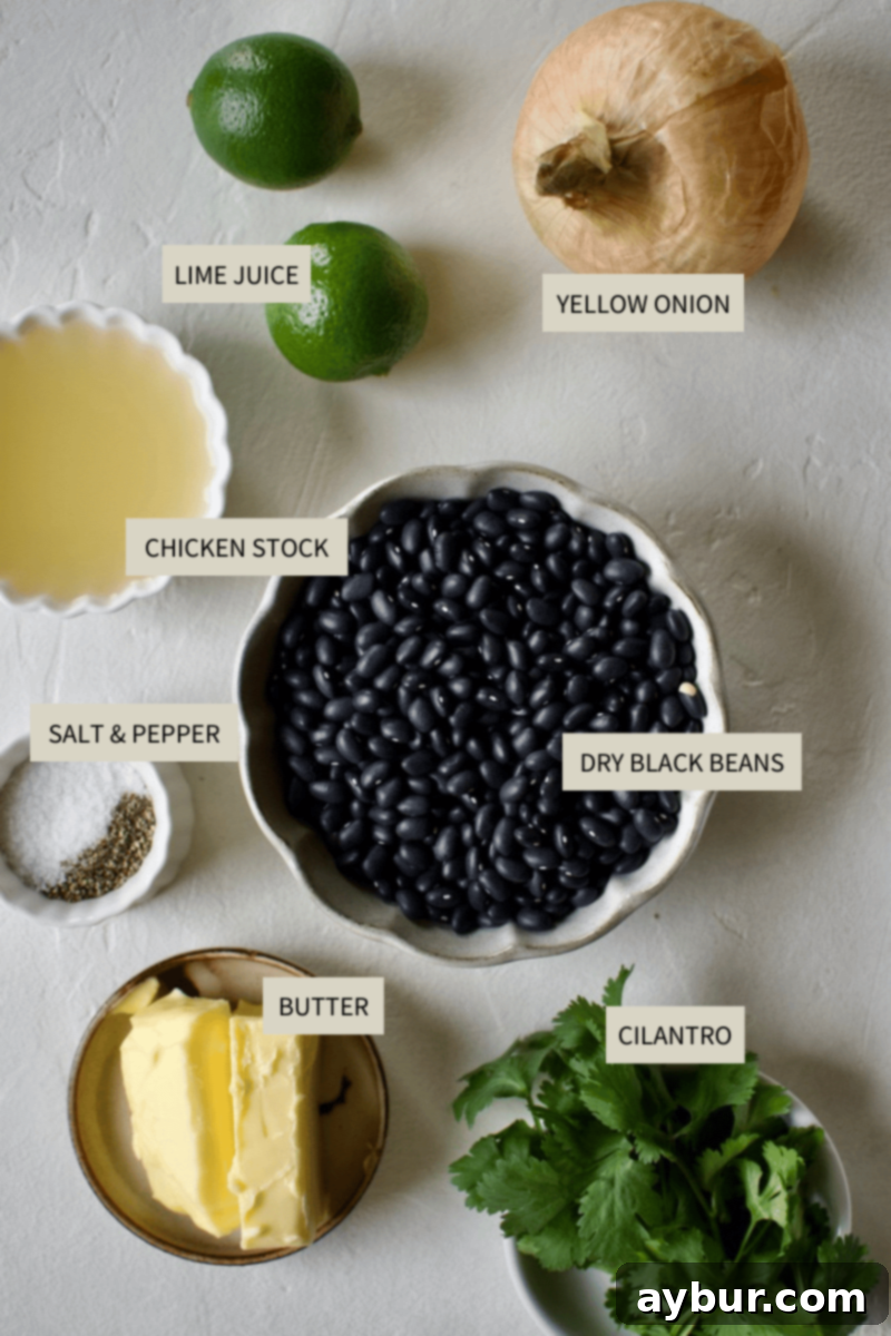Easy Creamy Black Bean Dip 3 Ingredients needed to make Black Bean Dip.
