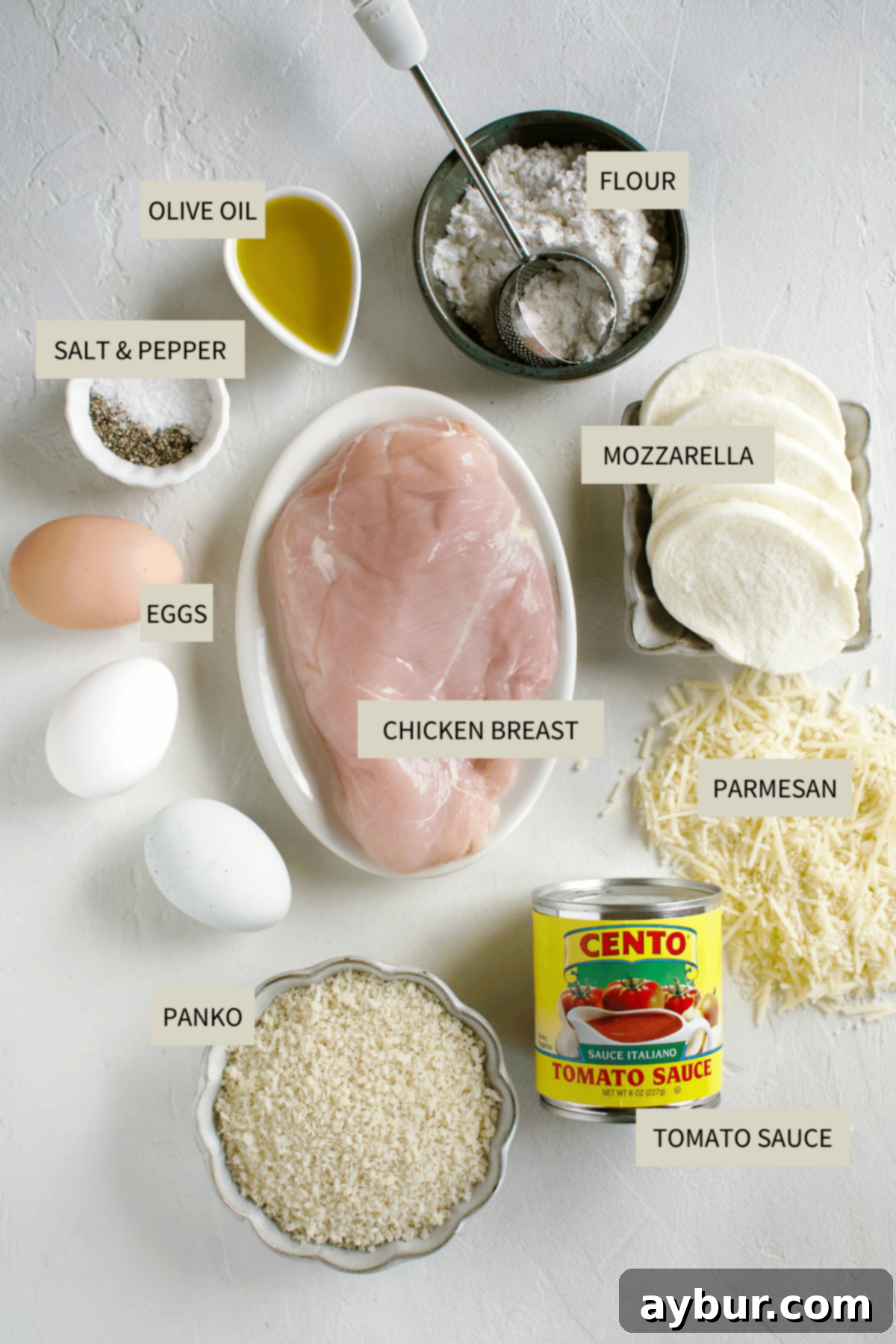 Ingredients needed to make Easy Chicken Parmesan, including chicken breasts, panko, parmesan, and mozzarella.