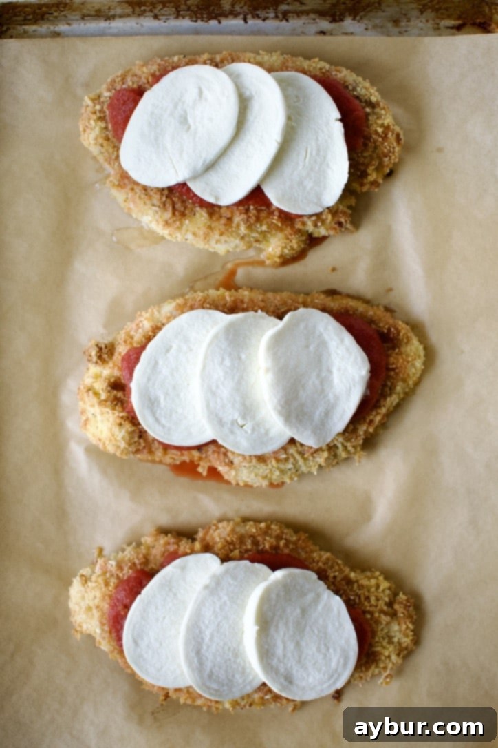 Chicken parmesan topped with fresh mozzarella, ready for broiling.