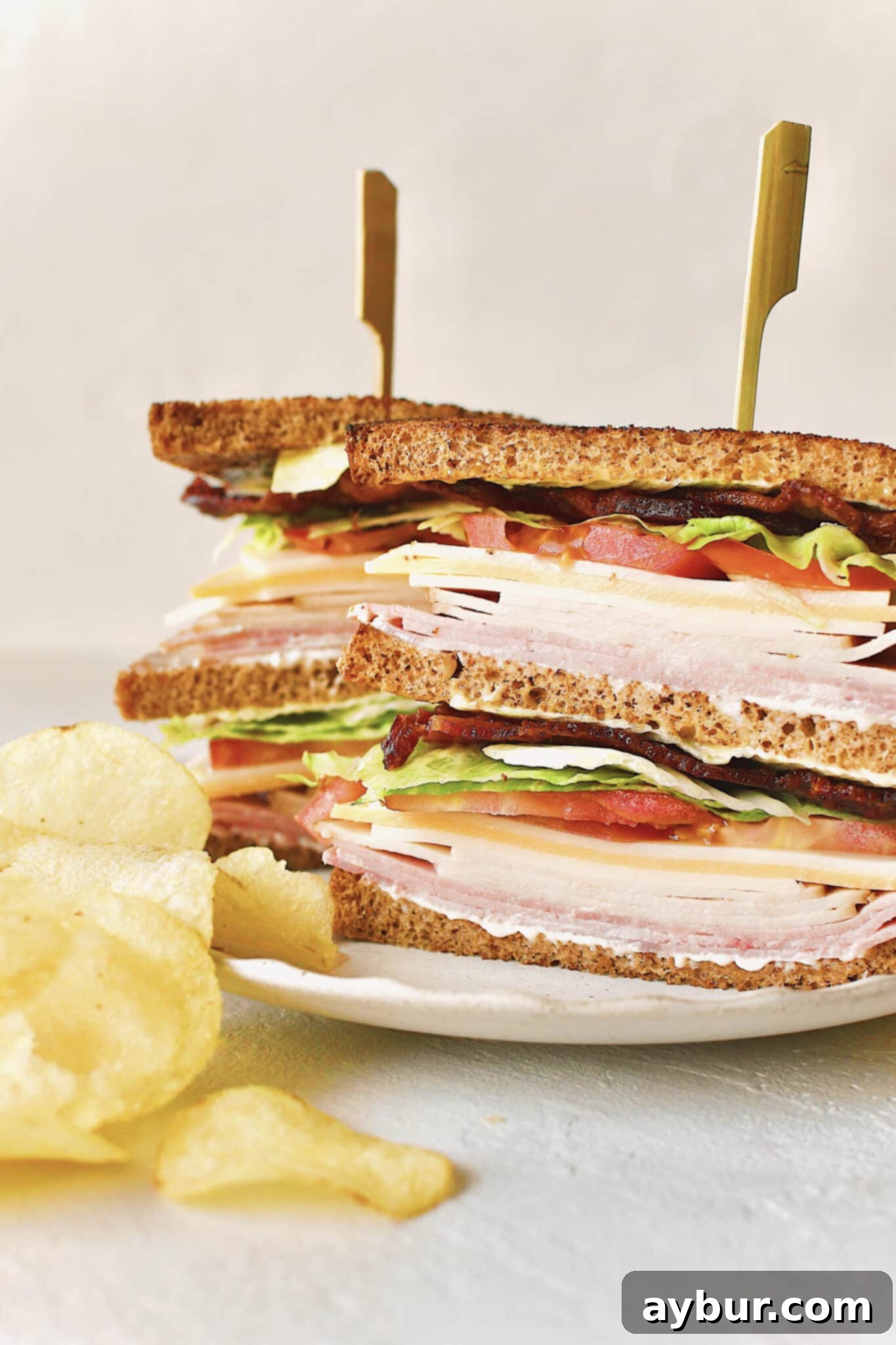 A double-decker Club Sandwich recipe expertly cut and arranged on a plate with crispy chips, ready for a satisfying meal.