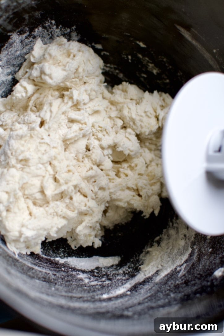 All pizza dough ingredients freshly mixed into a shaggy, hydrated dough, prior to intensive kneading in a stand mixer.
