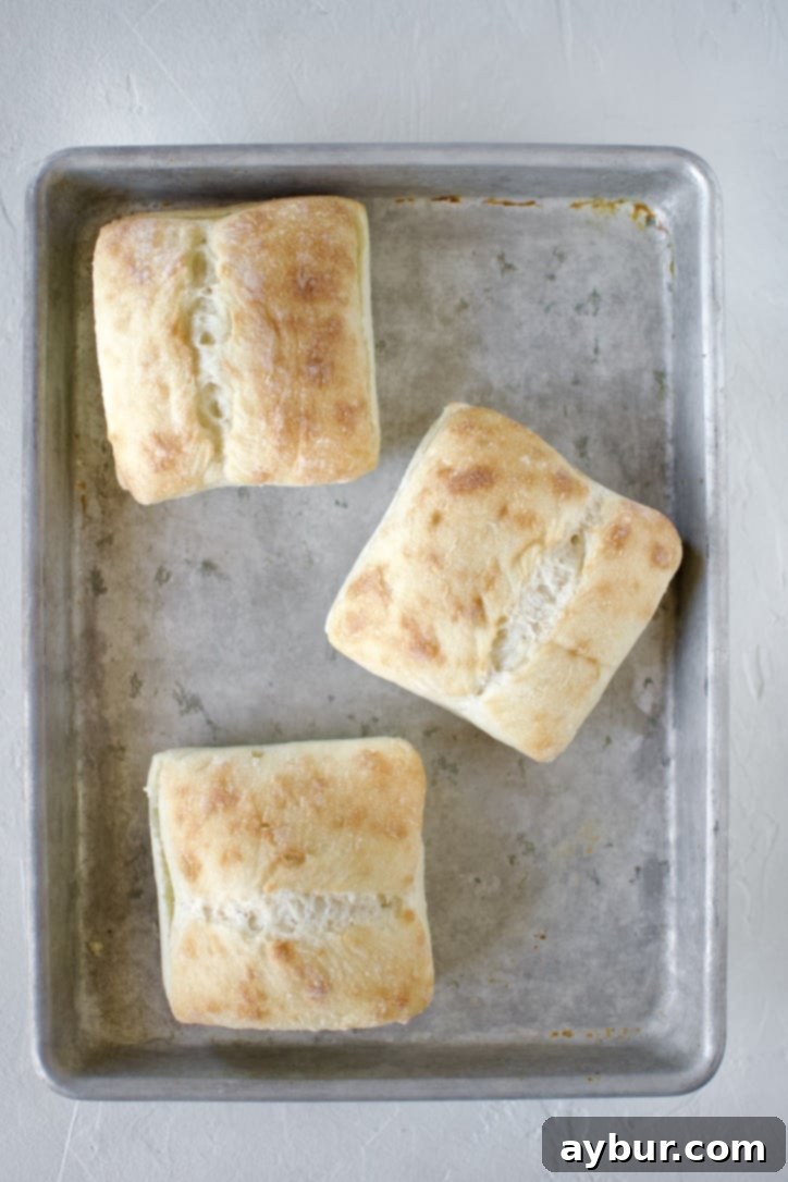 Uncut ciabatta rolls arranged on a sheet tray, ready for preparation.