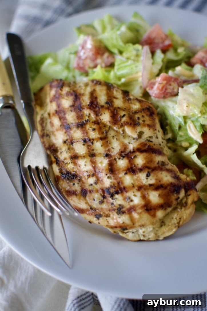 Marinated chicken that has been grilled, served on a plate with a summer side salad.