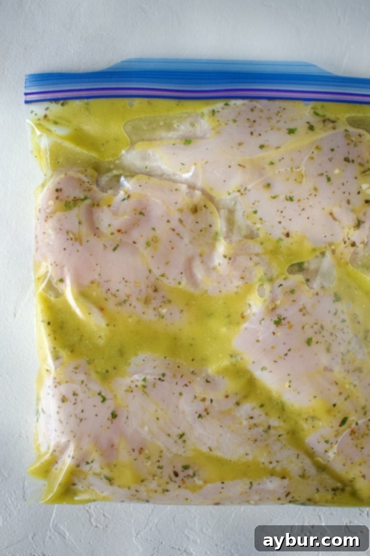 Italian Marinade in a bag with chicken breasts marinating.