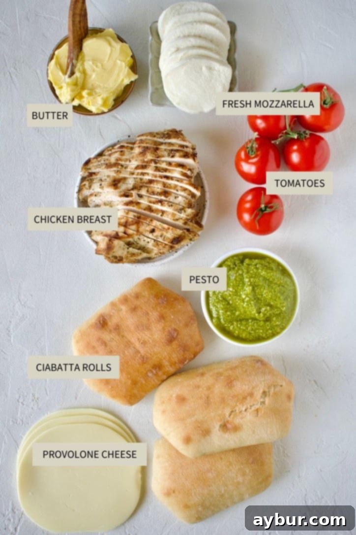A vibrant selection of fresh ingredients neatly arranged for Pesto Chicken Panini preparation, including golden ciabatta rolls, a jar of pesto, thinly sliced chicken breast, provolone and mozzarella cheeses, and ripe Campari tomatoes.