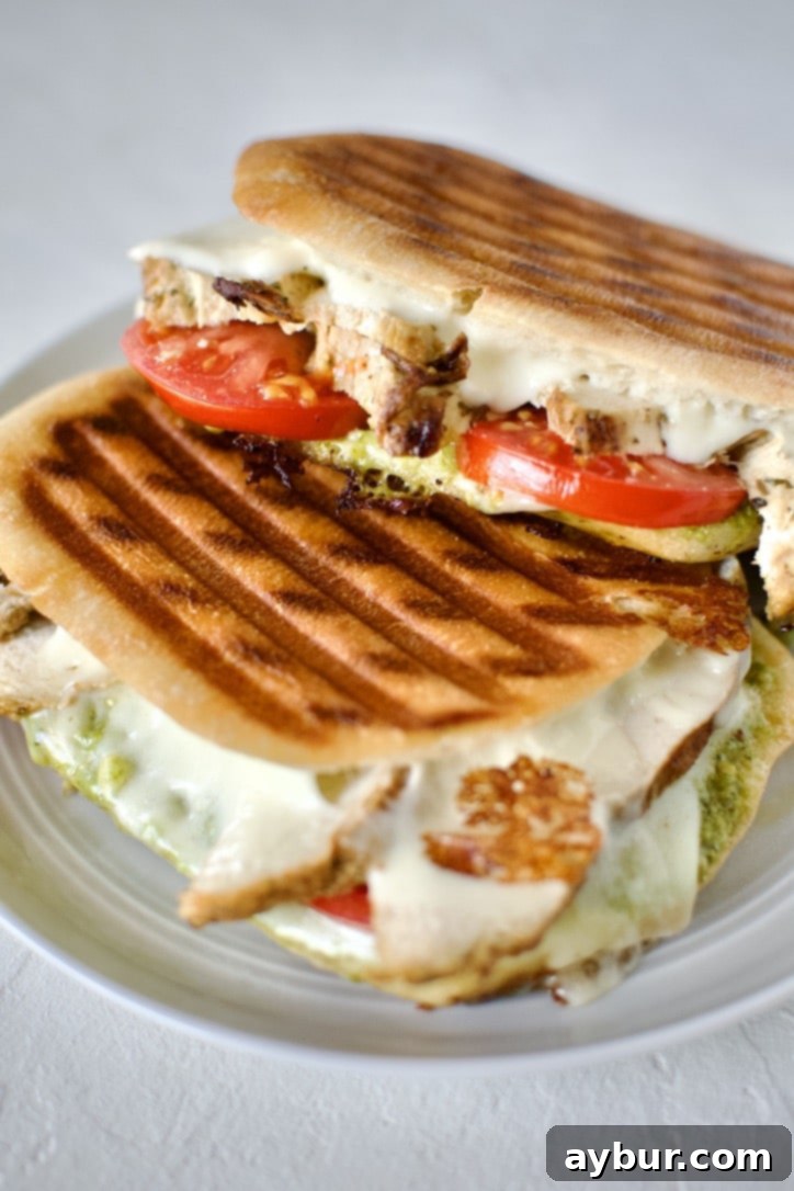 A perfectly grilled Pesto Chicken Panini, showcasing its golden-brown, crispy exterior and distinct grill marks, ready to be sliced.