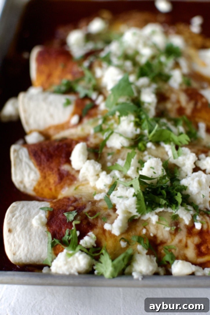 Freshly baked Ground Beef Enchiladas, garnished with fresh cilantro, ready to be served from the baking dish.