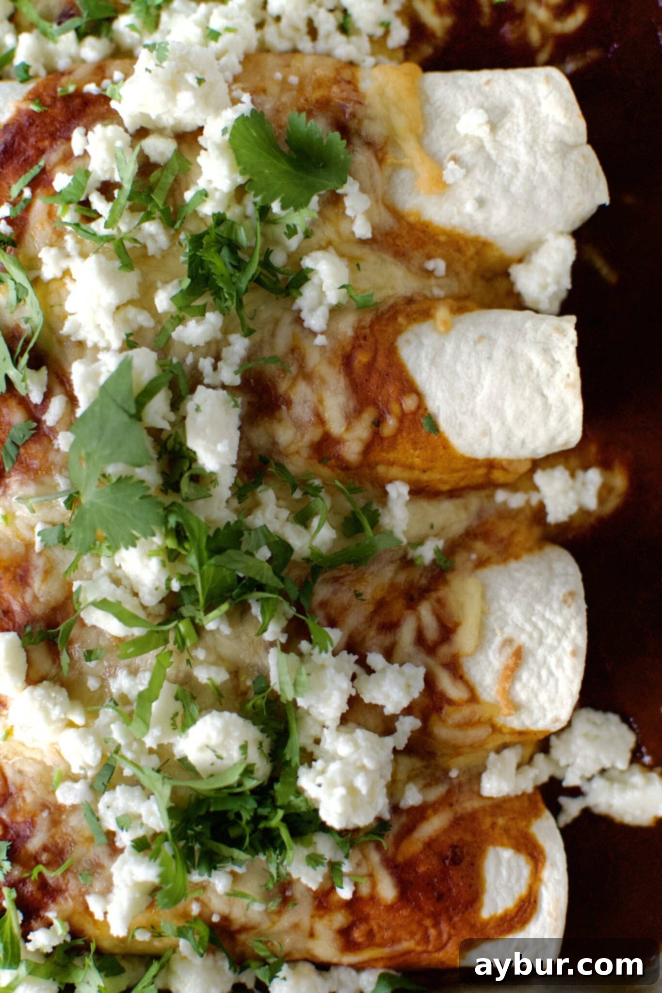 Golden-brown Ground Beef Enchiladas, garnished with crumbly queso fresco and fresh cilantro, perfectly baked and ready to be served.