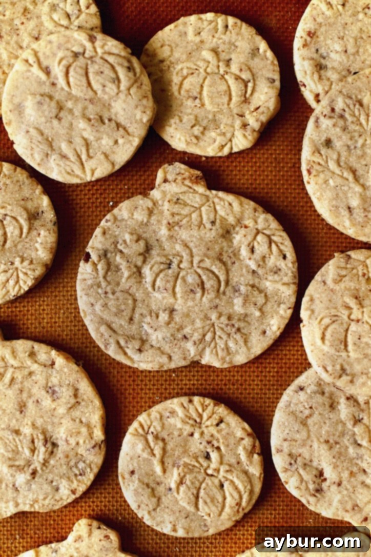 A close-up of a perfectly baked Maple Bacon Pecan Shortbread Cookie, showcasing its rich texture and details.
