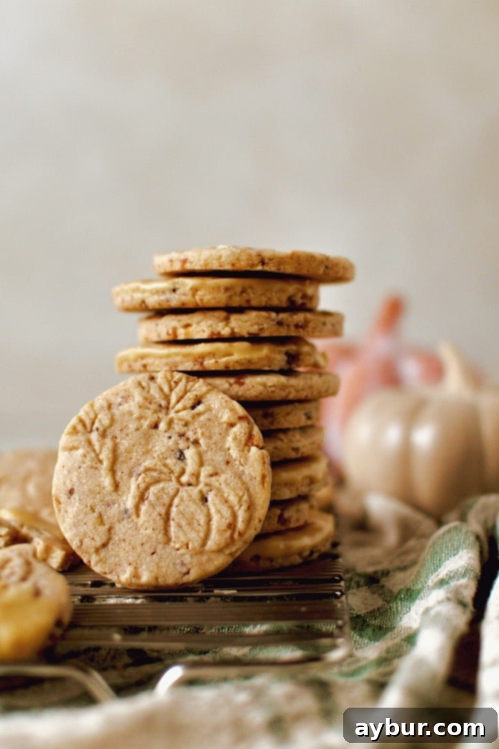 A close-up of several baked Maple Bacon Pecan Shortbread Cookies, beautifully arranged and ready to serve.