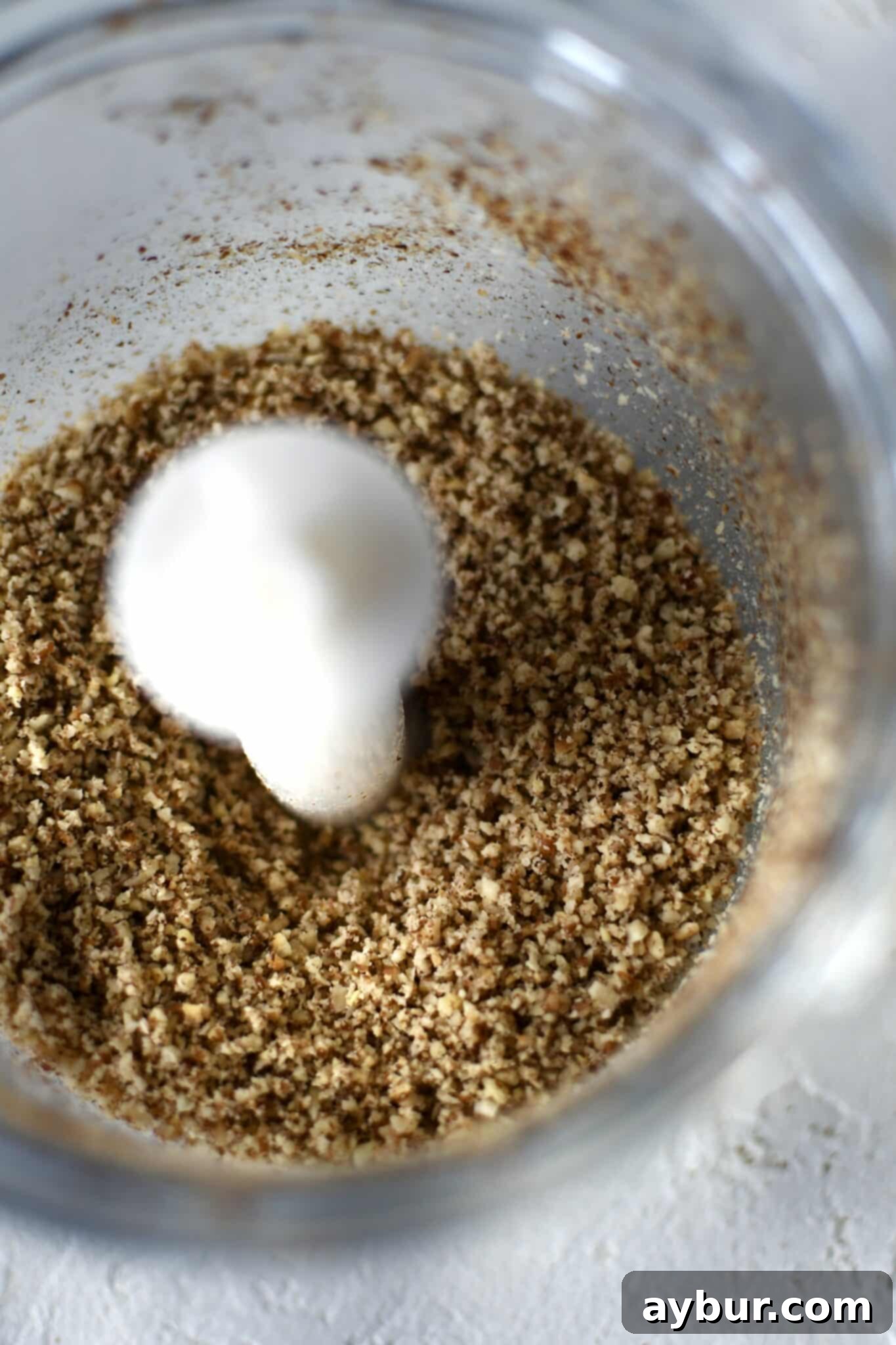 Finely ground pecans ready to be incorporated into the shortbread dough, captured in a mini food processor.