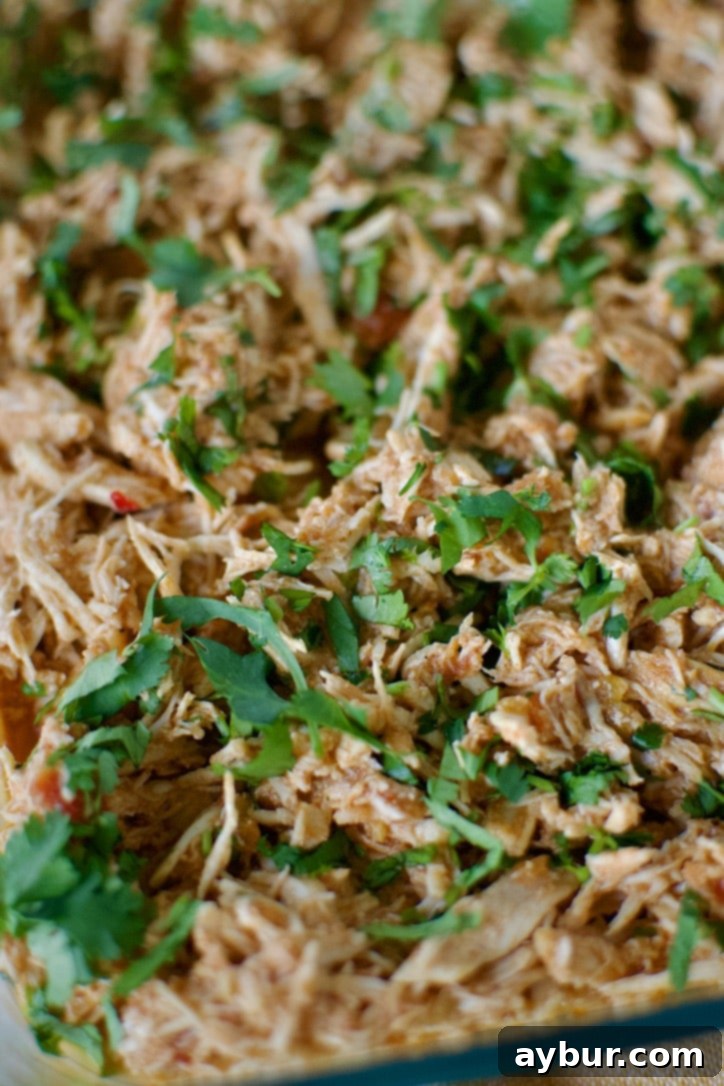 Flavorful Mexican Shredded Chicken ready to be used in various dishes, showcasing its vibrant red hue and tender texture.