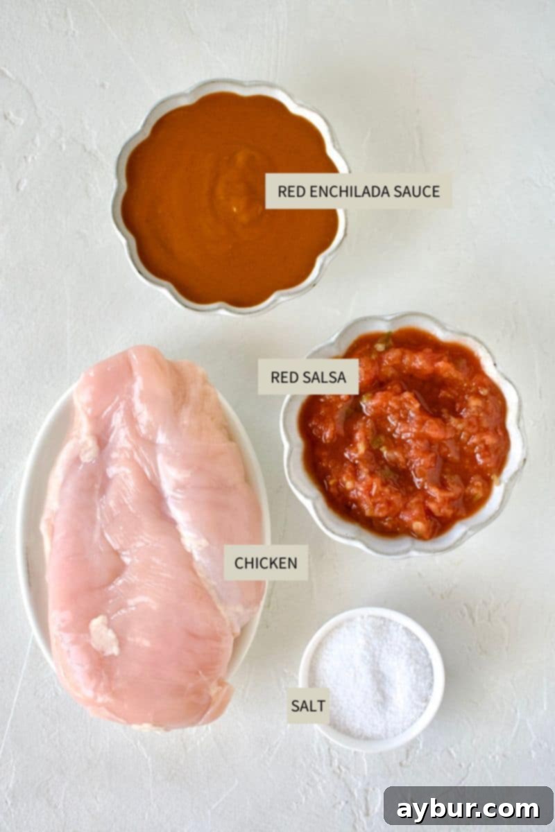 Essential ingredients laid out for making Mexican Shredded Chicken, including chicken, red enchilada sauce, and salsa.