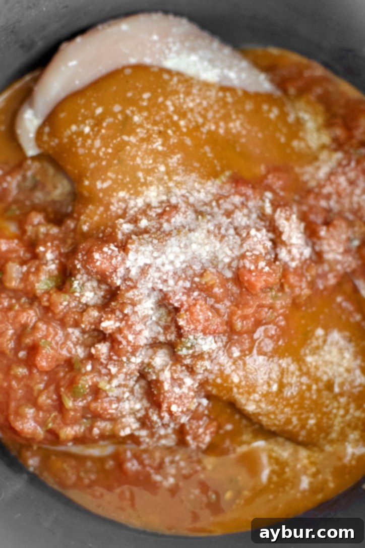 Chicken, enchilada sauce, red salsa, and salt perfectly layered in an Instant Pot, ready for cooking.