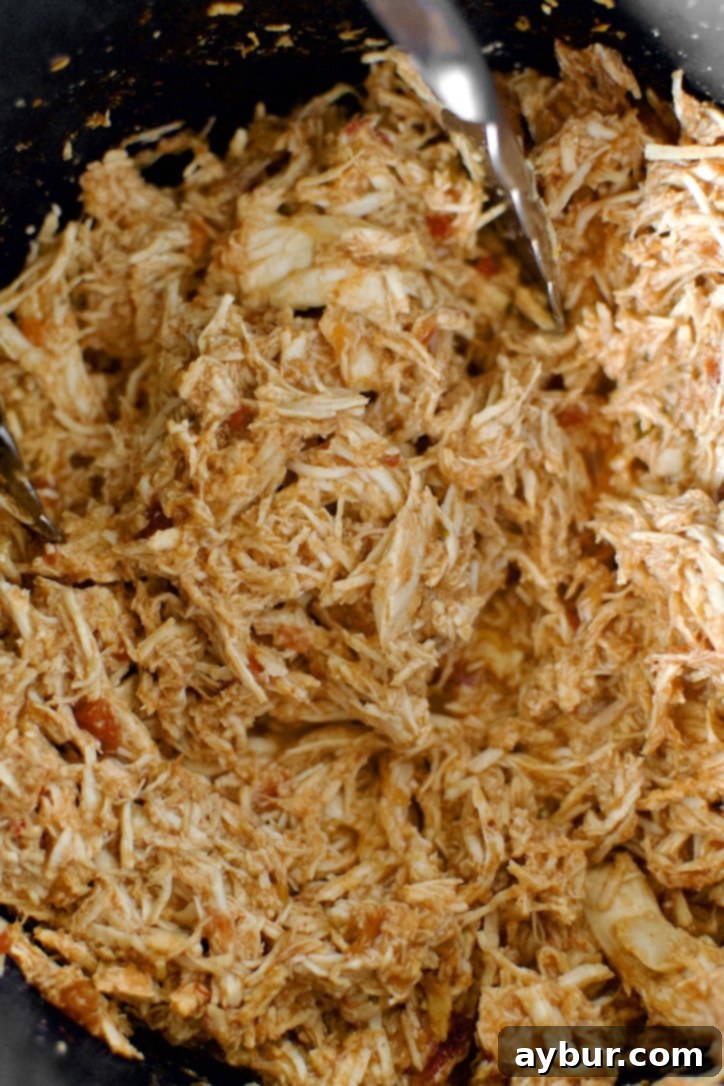 Finely shredded Mexican chicken in the stand mixer, perfectly textured for versatile use.