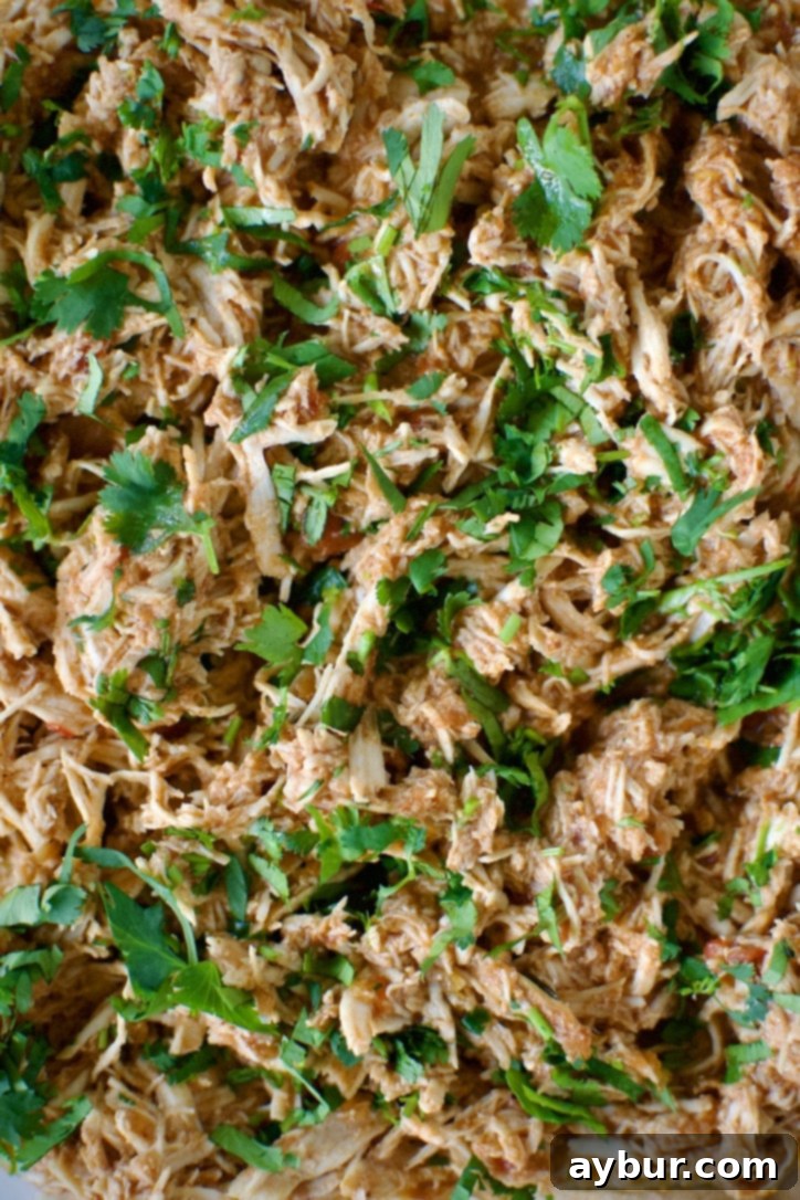 Freshly prepared Mexican Shredded Chicken in a bowl, garnished with cilantro, ready to be served or stored.
