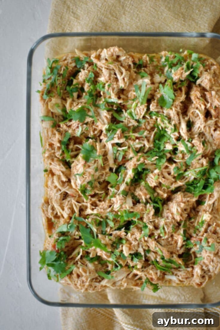 Mexican Shredded Chicken prepared and ready to use in a storage container.