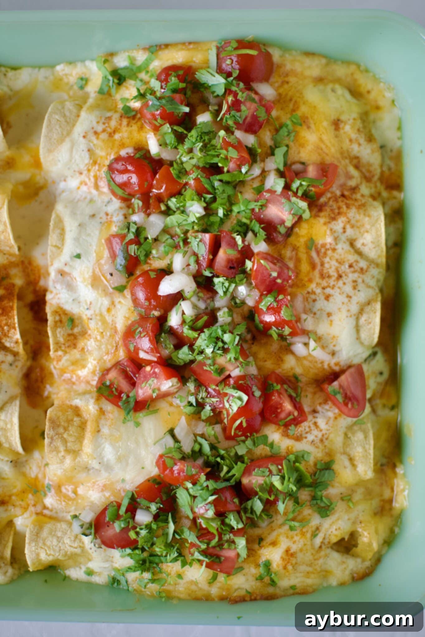 Chicken Enchiladas with Sour Cream Sauce after baking and topped with pico de gallo and cilantro.