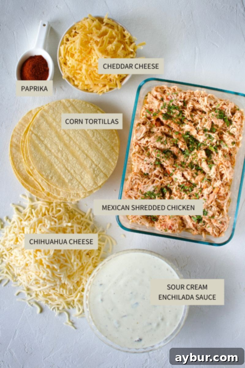 Ingredients needed to make Chicken Enchiladas with Sour Cream Sauce.