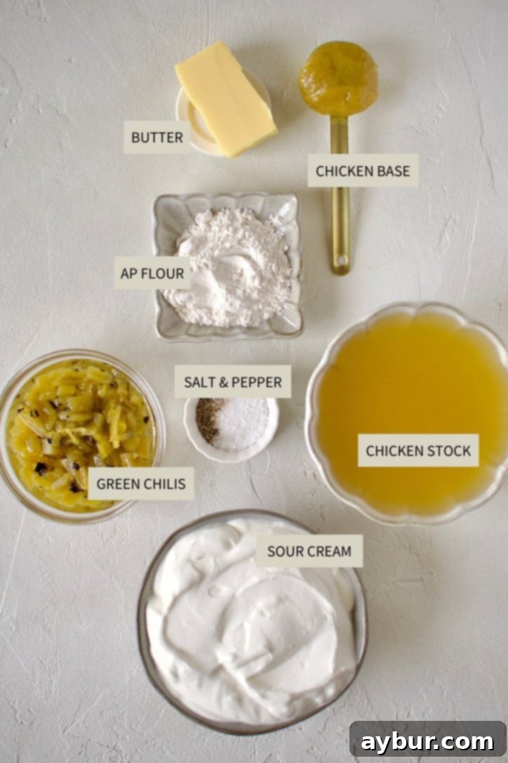Velvety Sour Cream Enchilada Sauce 3 A selection of fresh ingredients laid out for making the Sour Cream Enchilada Sauce.