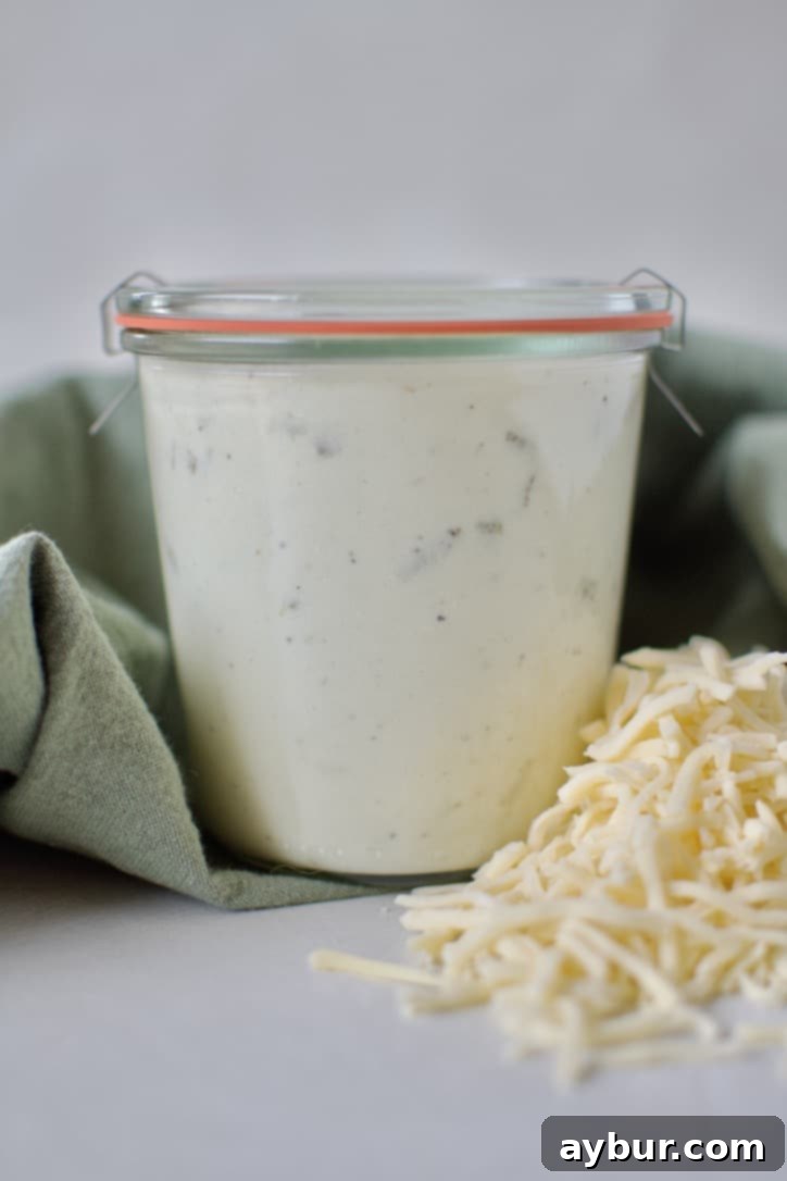 Velvety Sour Cream Enchilada Sauce 10 Delicious Sour Cream Enchilada Sauce served in a jar, ready to be enjoyed.