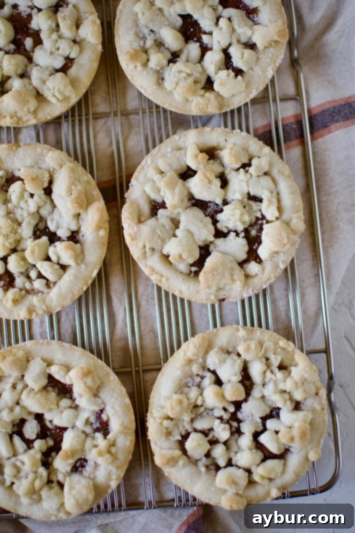 Spiced Pumpkin Delights 11 A single baked pumpkin tartlet dusted with nutmeg sugar, ready to be served.