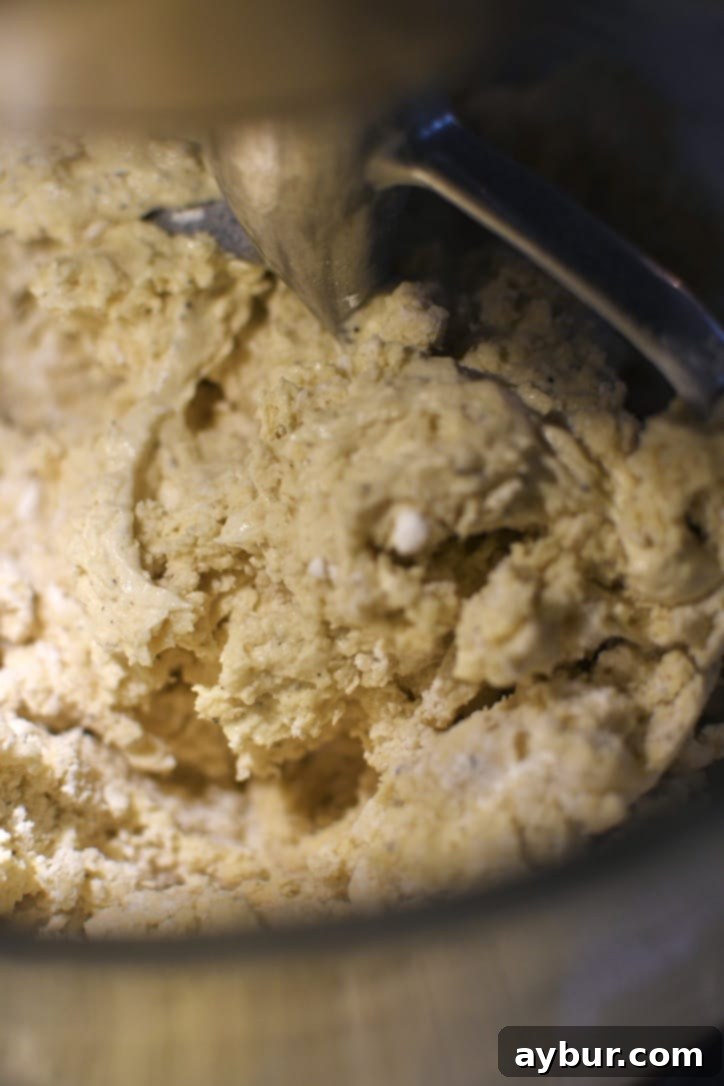 Mixing dry ingredients into the wet cookie dough until just combined.
