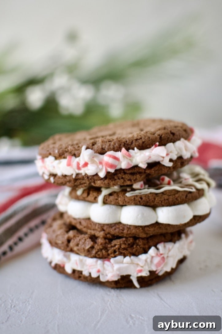 Peppermint Chocolate Delights 2 Finished Chocolate Peppermint Cookies stacked high, drizzled with white chocolate and crushed candy canes.