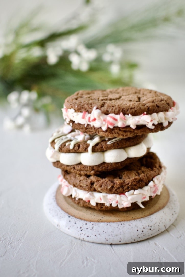 Peppermint Chocolate Delights 15 Chocolate Peppermint Cookies with white chocolate drizzle and crushed candy canes, ready to be enjoyed.