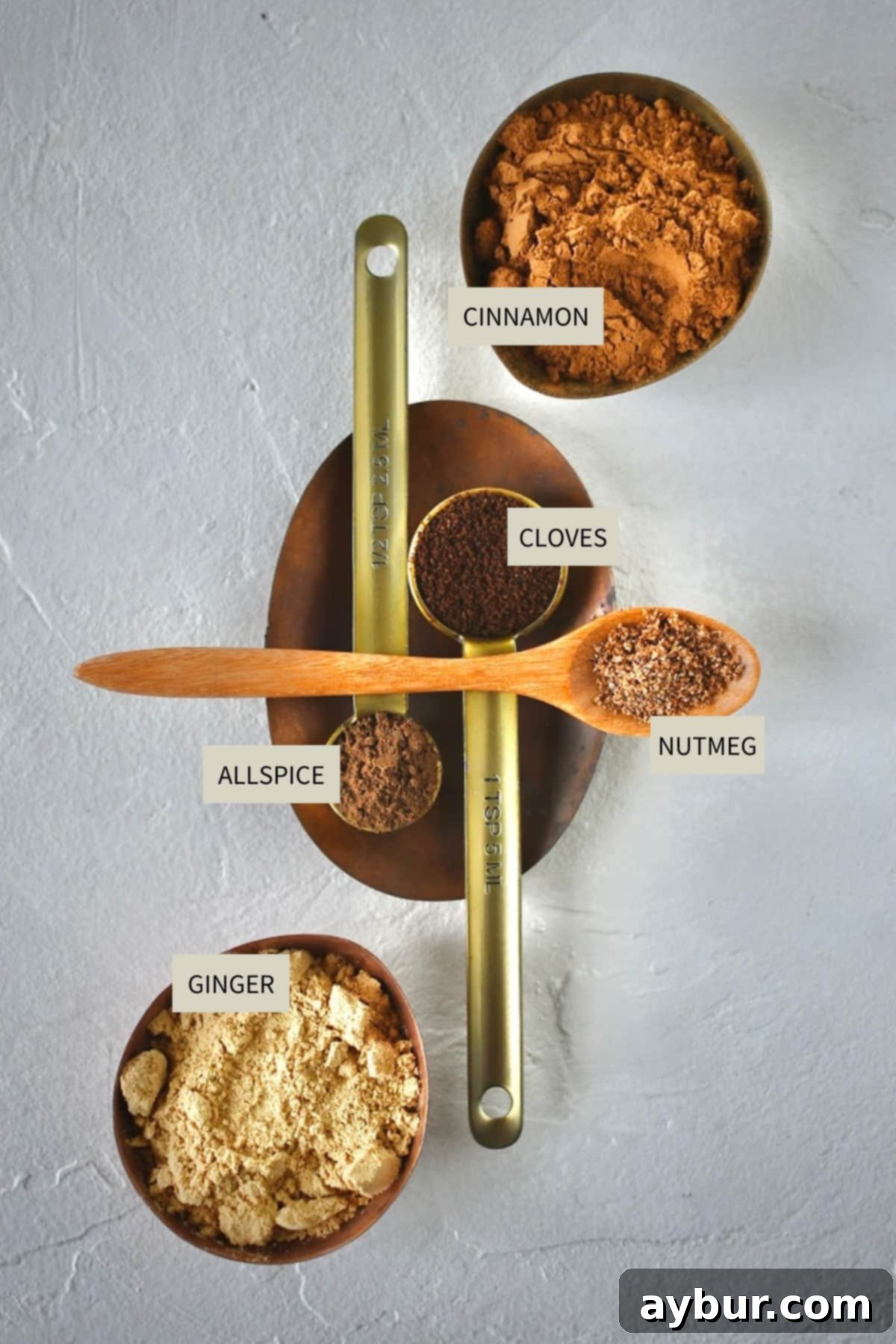 Individual spices – ginger, cinnamon, nutmeg, cloves, and allspice – neatly arranged for making the homemade gingerbread spice mix.