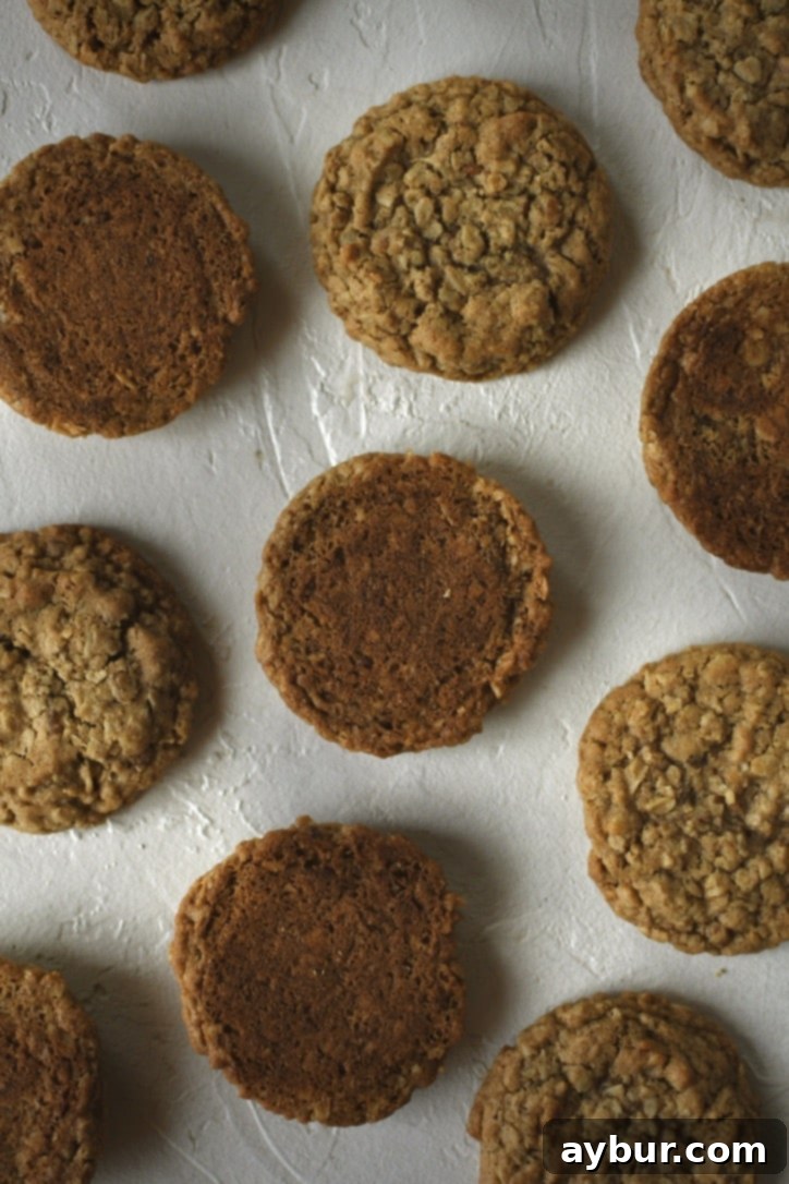 Festive Gingerbread Oatmeal Cream Pies 12 Gingerbread oatmeal cookies laid out in pairs, with half of them flipped upside down, awaiting the cream filling.