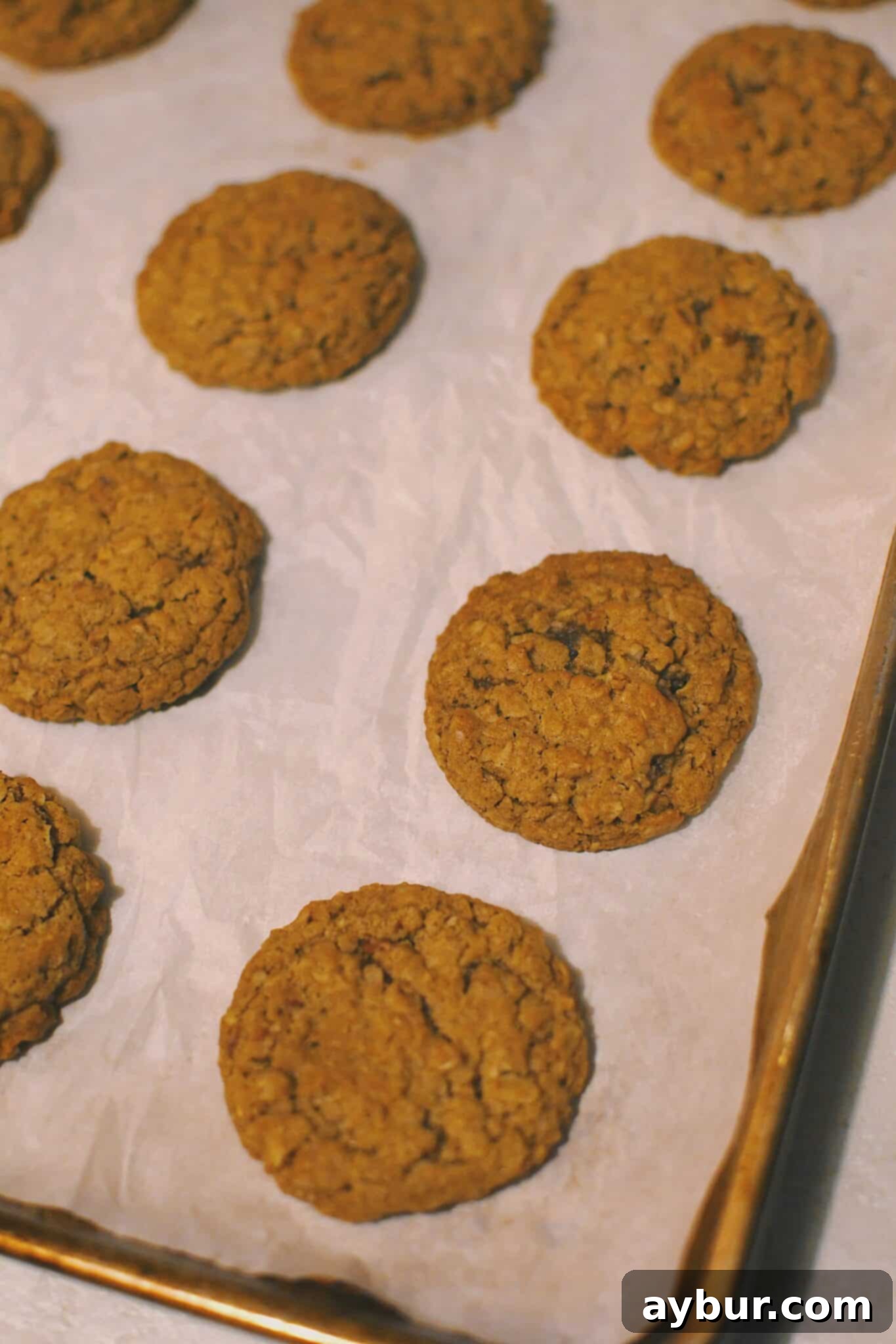 Festive Gingerbread Oatmeal Cream Pies 8 Freshly baked gingerbread oatmeal cream pie cookies, golden brown and perfectly rounded, cooling on a baking sheet.